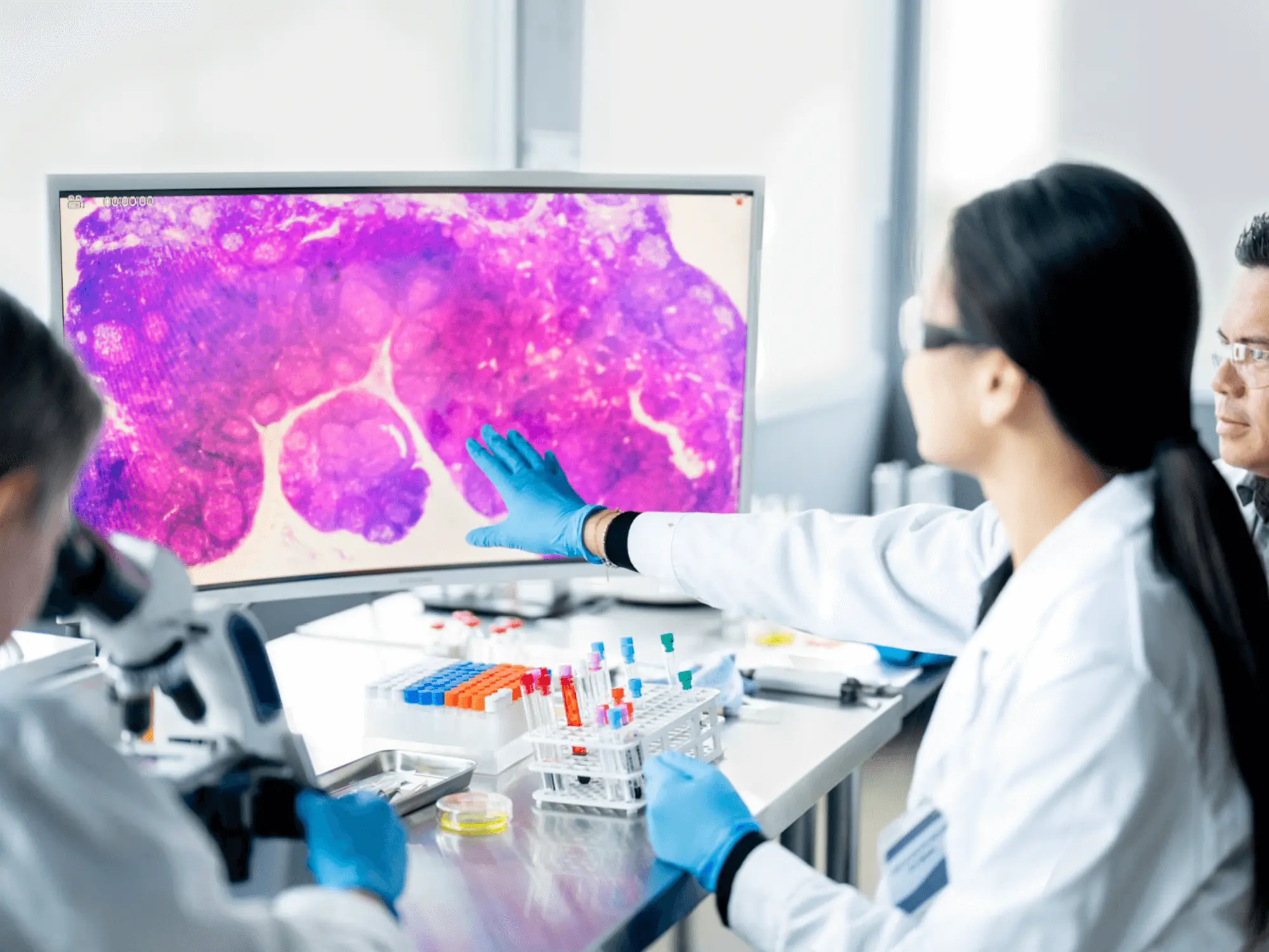 Research & Innovation