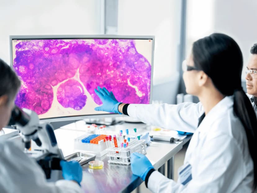 Research & Innovation